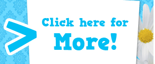 SouthernBrooke.com